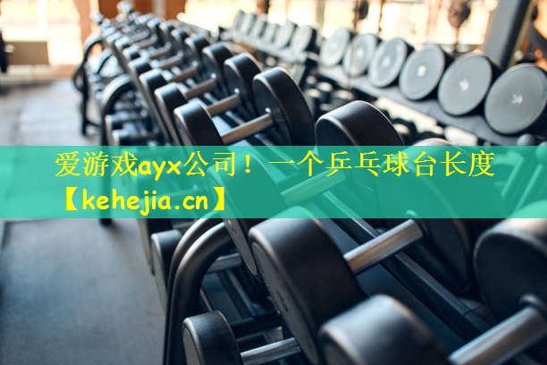 爱游戏ayx公司！一个乒乓球台长度