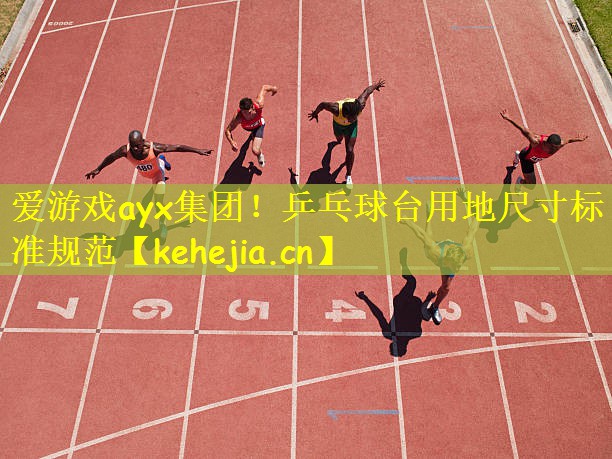 爱游戏ayx集团！乒乓球台用地尺寸标准规范