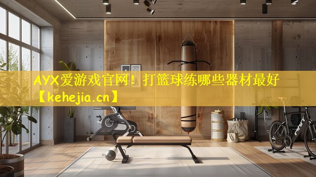 AYX爱游戏官网!打篮球练哪些器材最好