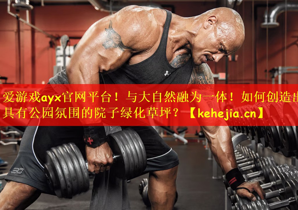 <strong>爱游戏ayx官网平台！与大自然融为一体！如何创造出具有公园氛围的院子绿化草坪？</strong>