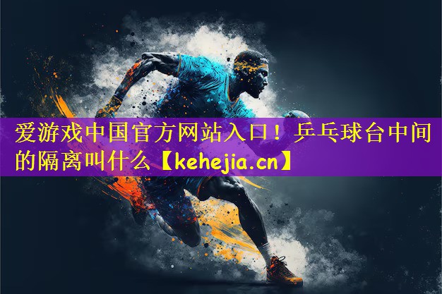 爱游戏中国官方网站入口！乒乓球台中间的隔离叫什么