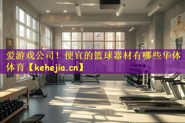 爱游戏公司!便宜的篮球器材有哪些华体体育