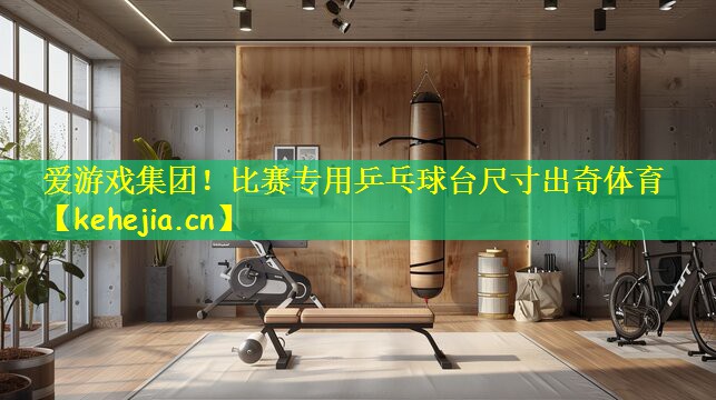 爱游戏集团!比赛专用乒乓球台尺寸出奇体育