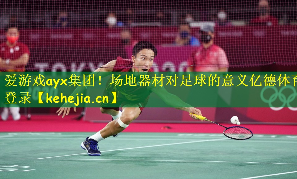 爱游戏ayx集团!场地器材对足球的意义亿德体育登录