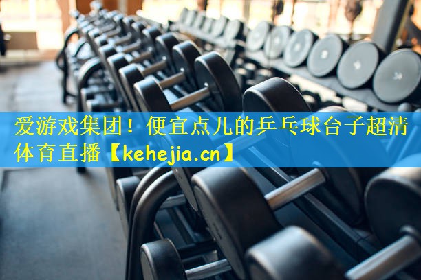 爱游戏集团！便宜点儿的乒乓球台子超清体育直播