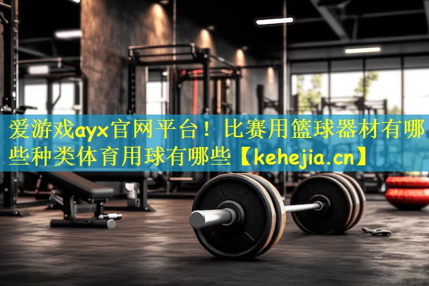爱游戏ayx官网平台！比赛用篮球器材有哪些种类体育用球有哪些