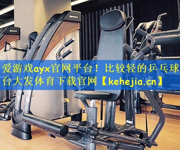爱游戏ayx官网平台！比较轻的乒乓球台大发体育下载官网