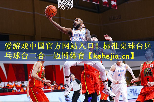 爱游戏中国官方网站入口！标准桌球台乒乓球台二合一迈博体育
