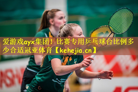 爱游戏ayx集团!比赛专用乒乓球台比例多少合适冠亚体育