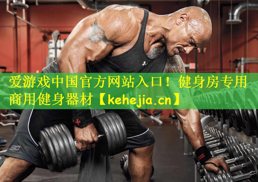爱游戏中国官方网站入口!健身房专用商用健身器材