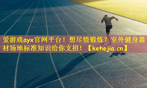 爱游戏ayx官网平台！想尽情锻炼？室外健身器材场地标准知识给你支招！