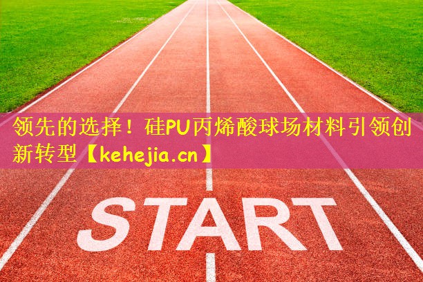 领先的选择!硅PU丙烯酸球场材料引领创新转型