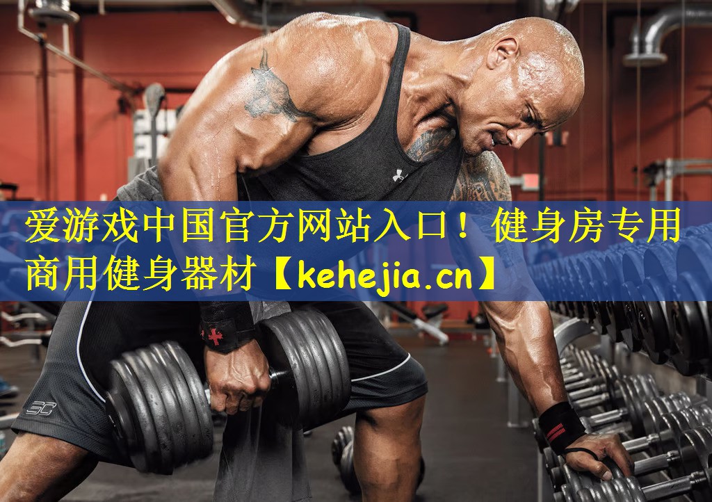 健身房专用商用健身器材