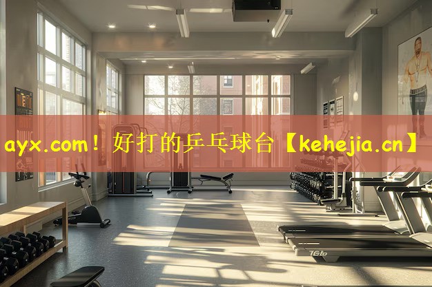 好打的乒乓球台
