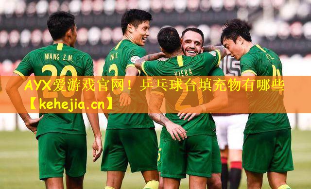 乒乓球台填充物有哪些