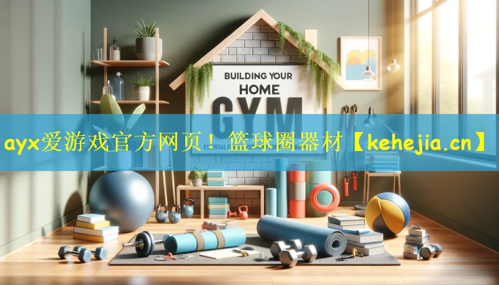 篮球圈器材