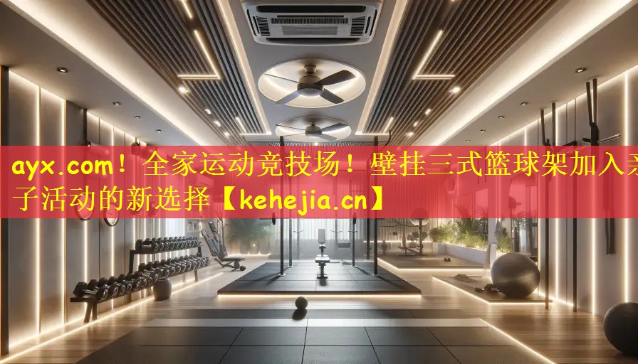 全家运动竞技场！壁挂三式篮球架加入亲子活动的新选择