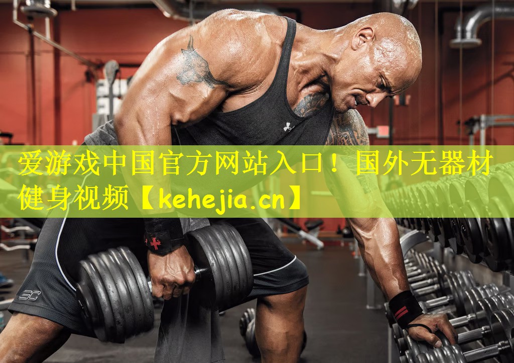 国外无器材健身视频